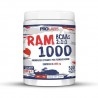 Prolabs, Ram 1000, 500&nbsp;Cpr.