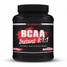 FlorioSport, BCAA Instant 8:1:1, 500 g. (Sc.11/2026)